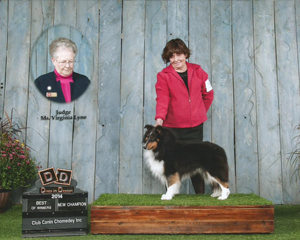 We would like to present New Canadian Champion MYNE Chasen a Dream (Chase), finishing at Chomedy KC with BOW on Friday and under respected Judge Ms. Lyne. Chase is handled by Diane Biggar. Chase was awarded select dog on his first 2 adventures into the specials class. "what a sweetheart and fun boy he is, "says Diane. Chase lives with his humans, Cheryl and Ken Marks at MYNE Training and Boarding Facility, LLC , Argyle, NY. Congratulations to both Diane and Chase!
