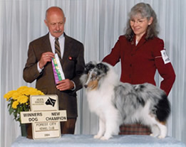 Canadian Champion MYNE Now and Forever (aka Fred) (10 US pts) Sire: Can Ch TLD's Mr. Magestic Dam: Toven Skye Blue Heaven